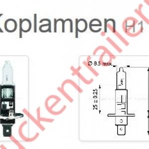 Halogen bulb 12V H1              